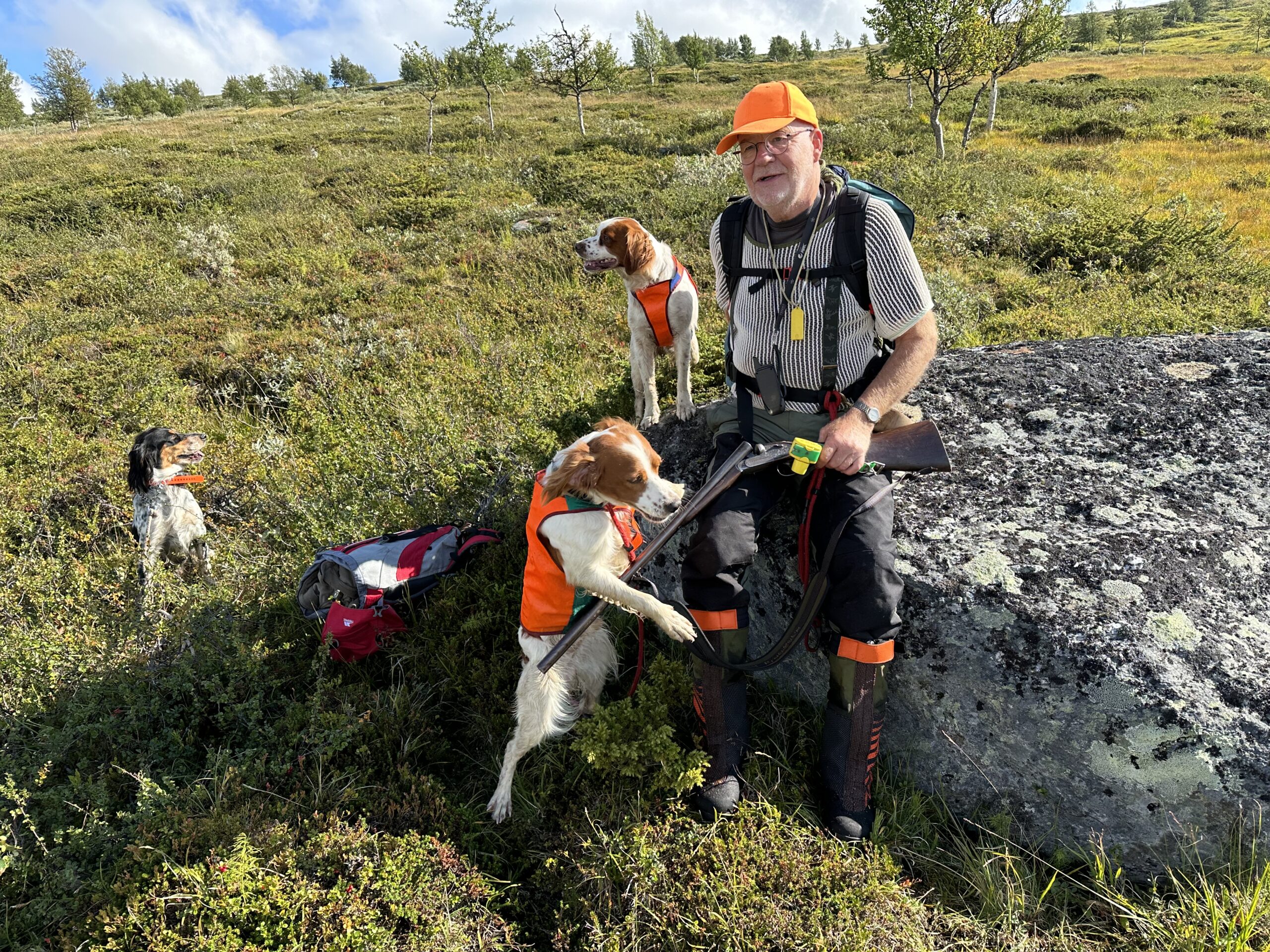Basic+ når hunden skal på hårdt arbejde